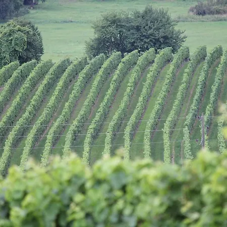 Apartament Eichenhof *