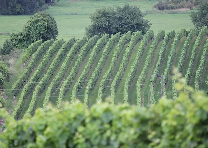 Apartamento Eichenhof *